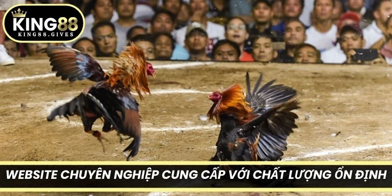 Website chuyên nghiệp cung cấp với chất lượng hình ảnh, âm thanh ổn định