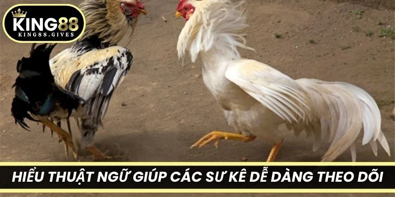 Hiểu thuật ngữ giúp các sư kê dễ dàng theo dõi, phân tích trận đấu