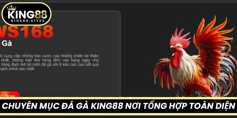 Chuyên mục đá gà King88 được thiết kế như một nơi tổng hợp toàn diện