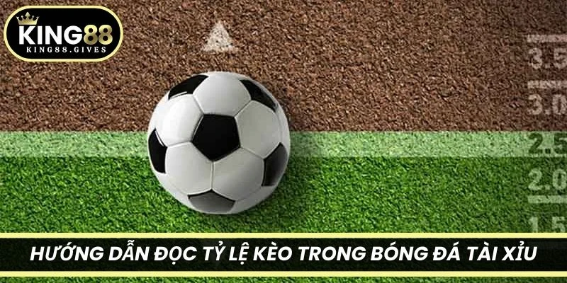 Hướng dẫn đọc tỷ lệ kèo trong bóng đá Tài Xỉu